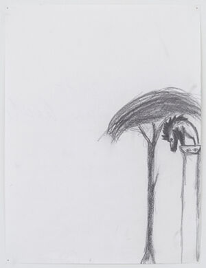 graphite on paper