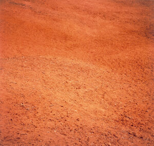 Silver dye bleach print