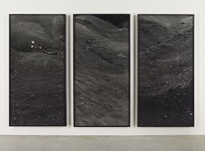 Gelatin silver prints