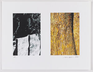 Archival Pigment Print