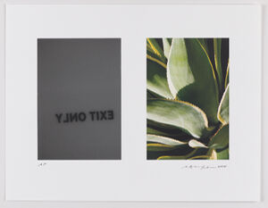 Archival Pigment Print