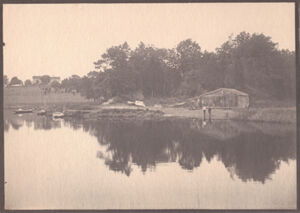 Platinum print