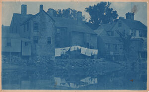 Cyanotype