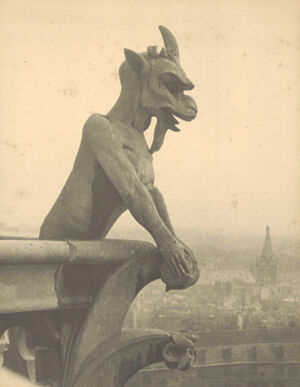 Gelatin silver print