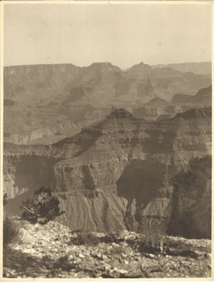 Gelatin silver print
