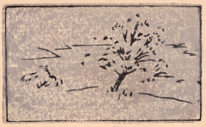 Color woodcut