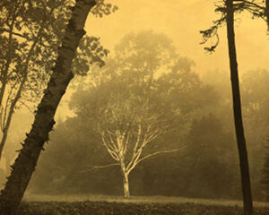 Archival Pigment Print on on premium metallic paper