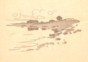 Commercial relief print