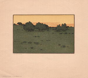Commercial relief print