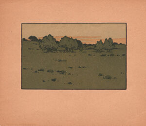 Commercial relief print