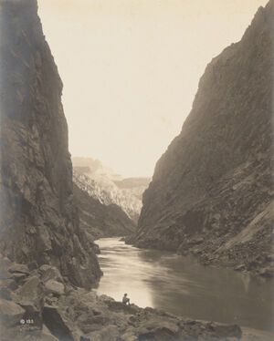 Gelatin silver print