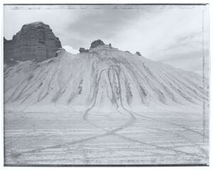 Gelatin silver print