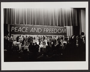 Gelatin silver print