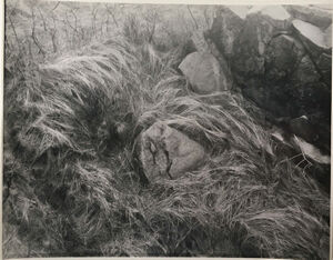 Gelatin silver print