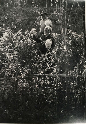 Gelatin silver print