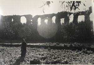 Gelatin silver print