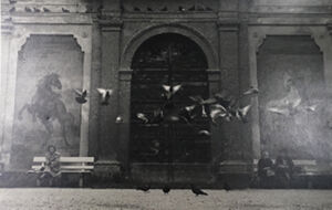 Gelatin silver print