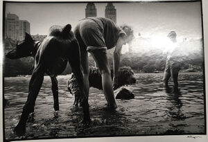 Gelatin silver print