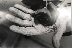 Gelatin silver print