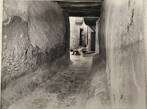 Gelatin silver print