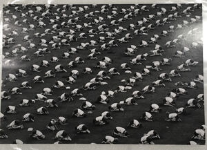 Gelatin silver print