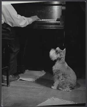 Gelatin silver print