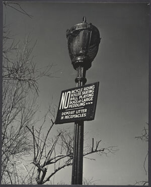 Gelatin silver print