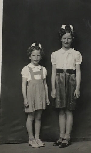 Gelatin silver contact print