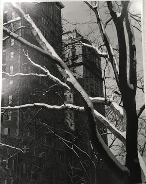 Gelatin silver print