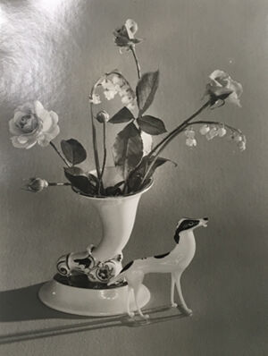 Gelatin silver print