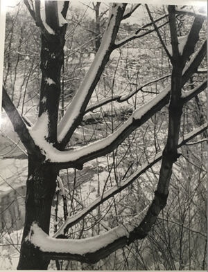 Gelatin silver print