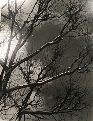 Gelatin silver print