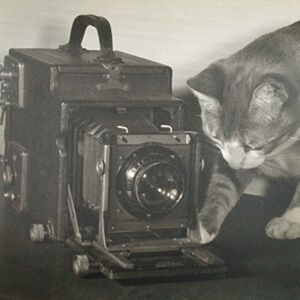 Gelatin silver print