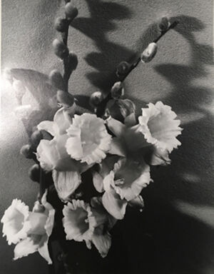 Gelatin silver print