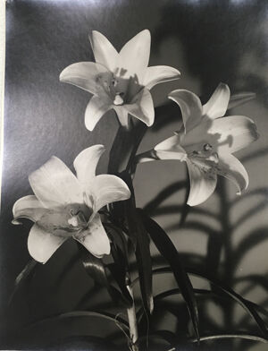 Gelatin silver print