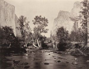 mammoth-plate albumen silver print