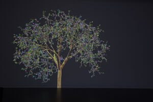 Video installation