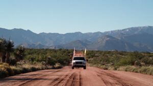 Two-channel video installation, color, sound