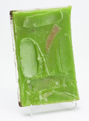 book encased inresin