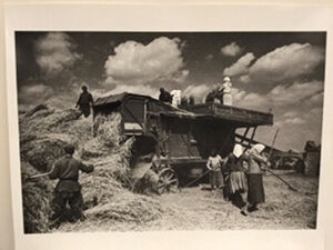 Gelatin silver print