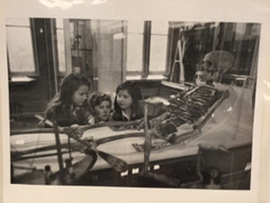 Gelatin silver print