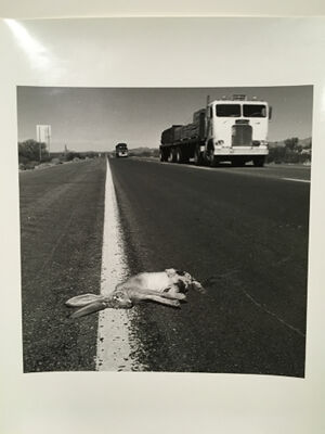 Gelatin silver print