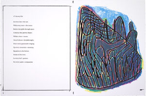 Portfolio of 20 four-color silkscreens and poems with title page and colophon