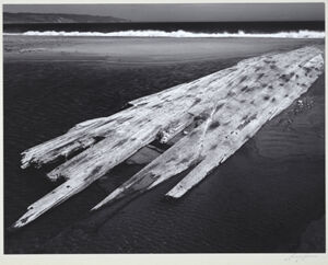 Gelatin silver print