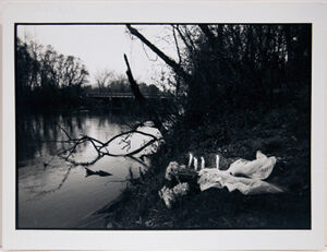 Gelatin silver print