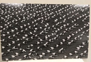 Gelatin silver print