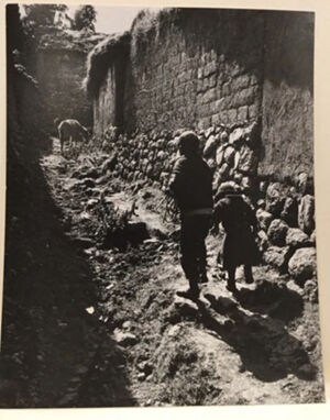 Gelatin silver print