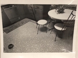 Gelatin silver print