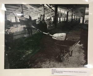 Gelatin silver print