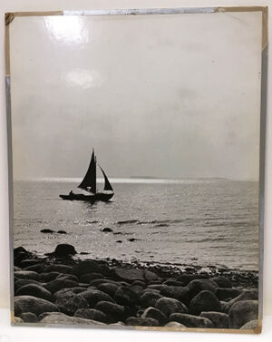 Gelatin silver print